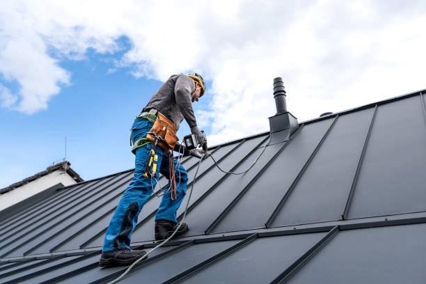Best Metal Roofing Installation  in Mount Prospect, IL